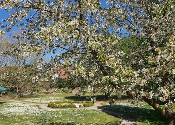 Alleehotel Europa 4* Bensheim