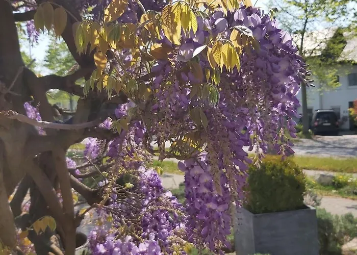 Alleehotel Europa Bensheim